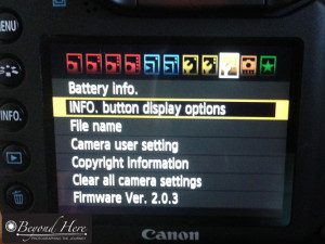 Setting Copyright in camera